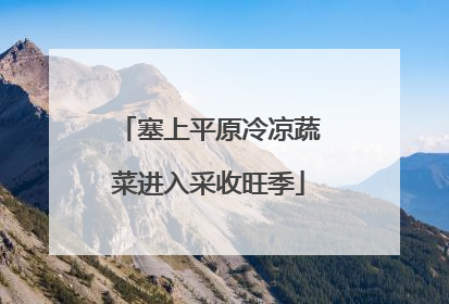 塞上平原冷凉蔬菜进入采收旺季