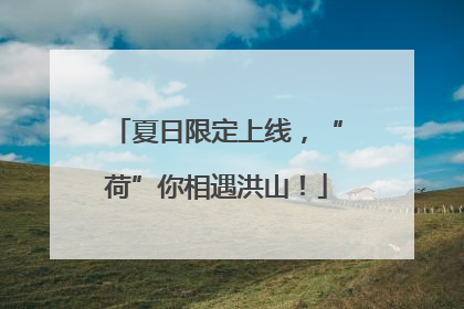 夏日限定上线，“荷”你相遇洪山！