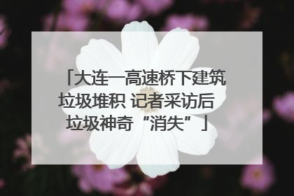 大连一高速桥下建筑垃圾堆积 记者采访后垃圾神奇“消失”