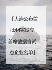 大连公布首批44家设立首席数据官试点企业名单