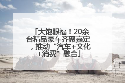 大饱眼福！20余台精品豪车齐聚嘉定，推动“汽车+文化+消费”融合
