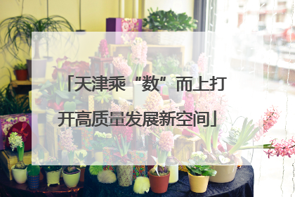 天津乘“数”而上打开高质量发展新空间