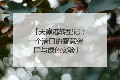 天津港转型记：一个港口的智慧突围与绿色实验