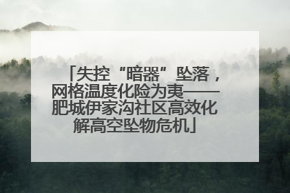 失控“暗器”坠落，网格温度化险为夷——肥城伊家沟社区高效化解高空坠物危机