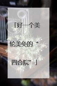 好一个美轮美奂的“四合院”