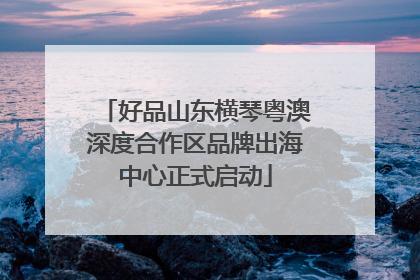 好品山东横琴粤澳深度合作区品牌出海中心正式启动