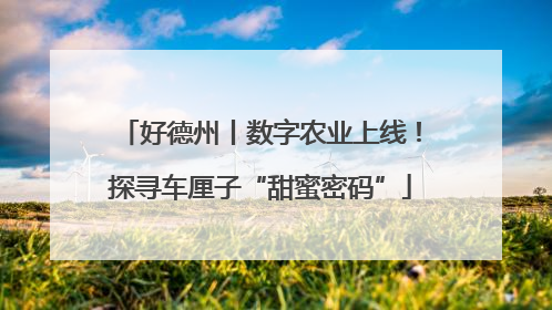 好德州丨数字农业上线！探寻车厘子“甜蜜密码”