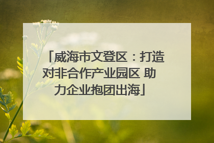 威海市文登区：打造对非合作产业园区 助力企业抱团出海