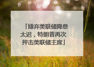嫌弃美联储降息太迟，特朗普再次抨击美联储主席