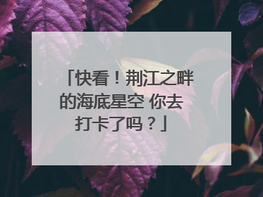 快看！荆江之畔的海底星空 你去打卡了吗？