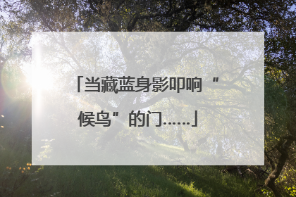 当藏蓝身影叩响“候鸟”的门……