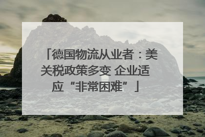 德国物流从业者：美关税政策多变 企业适应“非常困难”