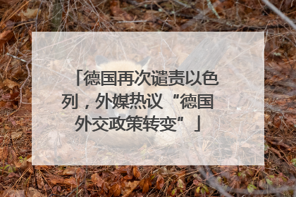 德国再次谴责以色列，外媒热议“德国外交政策转变”