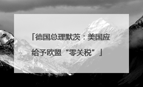德国总理默茨：美国应给予欧盟“零关税”