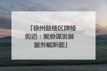 徐州鼓楼区牌楼街道：聚势谋发展 服务赋新能