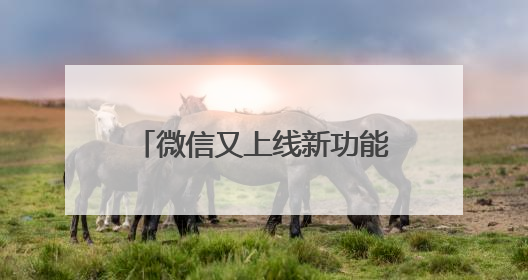 微信又上线新功能！网友：赶紧去改