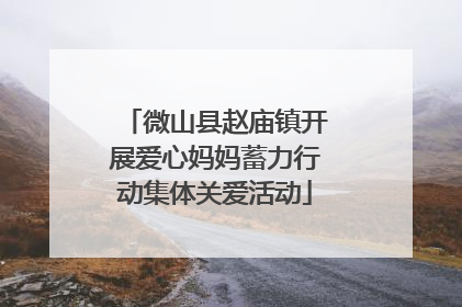 微山县赵庙镇开展爱心妈妈蓄力行动集体关爱活动