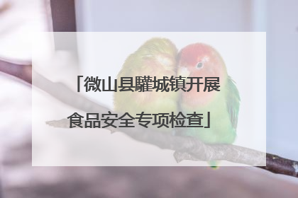 微山县驩城镇开展食品安全专项检查
