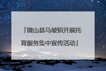 微山县马坡镇开展托育服务集中宣传活动