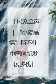 尺素金声｜“小院高墙”挡不住中国创新发展步伐