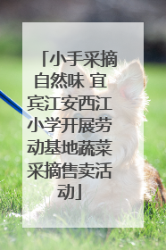 小手采摘自然味 宜宾江安西江小学开展劳动基地蔬菜采摘售卖活动