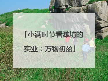 小满时节看潍坊的实业：万物初盈