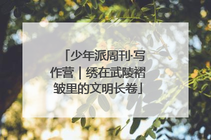 少年派周刊·写作营｜绣在武陵褶皱里的文明长卷