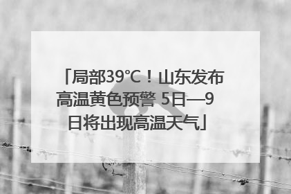 局部39℃！山东发布高温黄色预警 5日—9日将出现高温天气