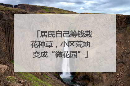 居民自己筹钱栽花种草，小区荒地变成“微花园”