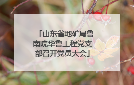 山东省地矿局鲁南院华鲁工程党支部召开党员大会