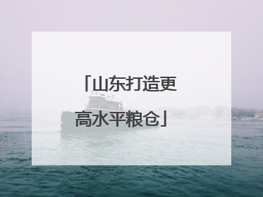 山东打造更高水平粮仓