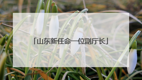 山东新任命一位副厅长