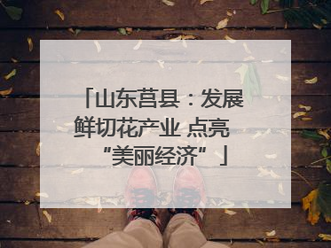 山东莒县：发展鲜切花产业 点亮“美丽经济”