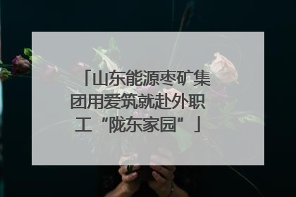 山东能源枣矿集团用爱筑就赴外职工“陇东家园”