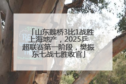 山东魏桥3比1战胜上海地产，2025乒超联赛第一阶段，樊振东七战七胜收官