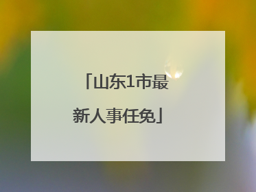 山东1市最新人事任免