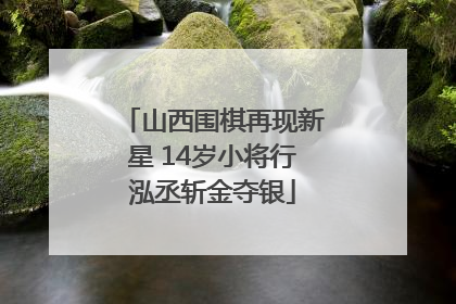 山西围棋再现新星 14岁小将行泓丞斩金夺银