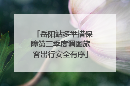 岳阳站多举措保障第三季度调图旅客出行安全有序