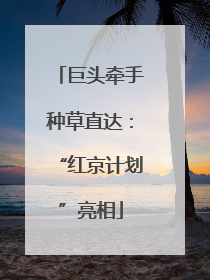 巨头牵手种草直达：“红京计划”亮相