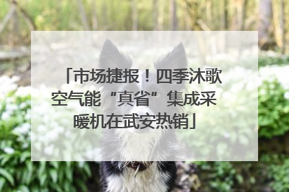 市场捷报！四季沐歌空气能“真省”集成采暖机在武安热销