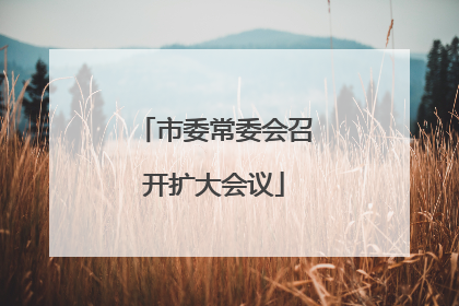 市委常委会召开扩大会议
