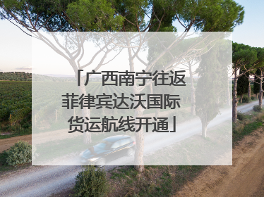 广西南宁往返菲律宾达沃国际货运航线开通