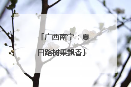 广西南宁：夏日路树果飘香