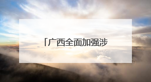 广西全面加强涉侨法律服务 以法治之光护侨益聚侨力暖侨心