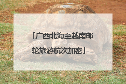 广西北海至越南邮轮旅游航次加密
