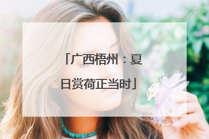 广西梧州：夏日赏荷正当时