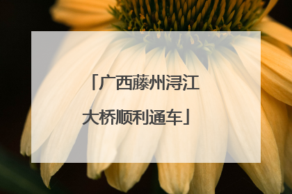 广西藤州浔江大桥顺利通车