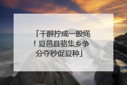 干群拧成一股绳！夏邑县骆集乡争分夺秒促夏种