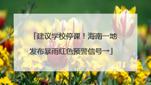 建议学校停课！海南一地发布暴雨红色预警信号→