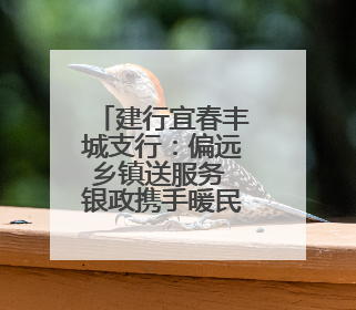 建行宜春丰城支行：偏远乡镇送服务 银政携手暖民心